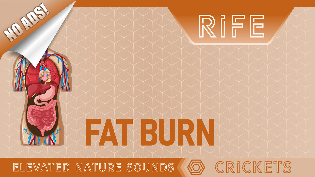 FAT BURN with RIFE - NO ADS