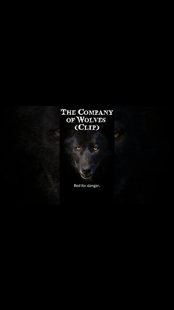 The Company Of Wolves by Angela Carter