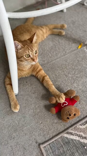 are you having any fun