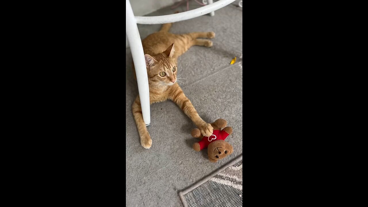 are you having any fun