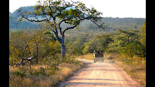 1200 Hectares Game Farm with Giraffe Stockpoort Limpopop South Africa