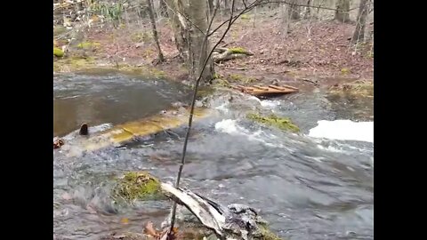 Stream Overflow