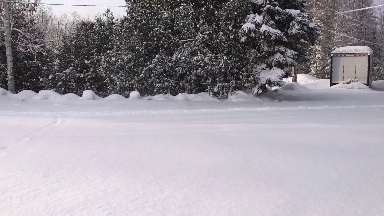 We got some snow... Part 1 of 4 Feb 25, 2021