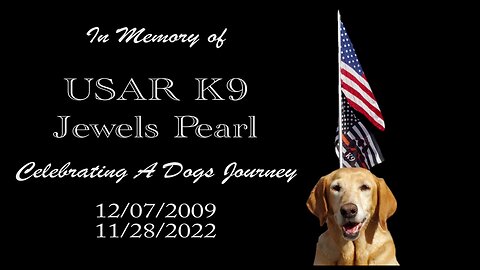 In Memory of USAR K9 Jewels Pearl - Celebrating A Dogs Journey