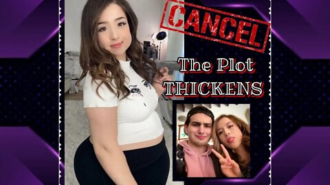 “THE PLOT THICKENS” - Pokimane Lies, Twitter Laughs