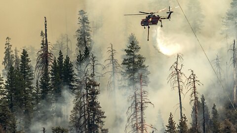 Firefighters Battle To Protect Yosemite's Sequoias From Washburn Fire