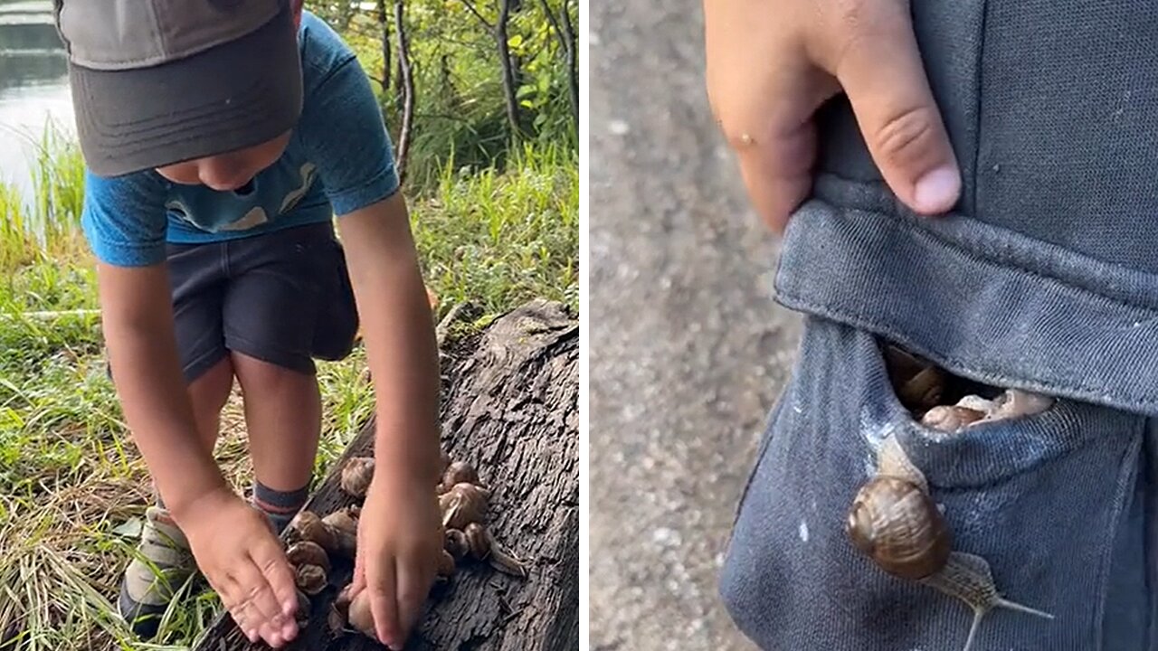 Nature-loving kid got pockets full of snails