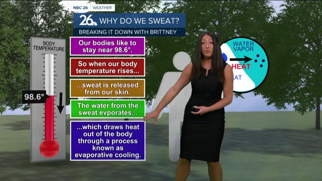 Breaking it Down with Brittney - Why do we Sweat?