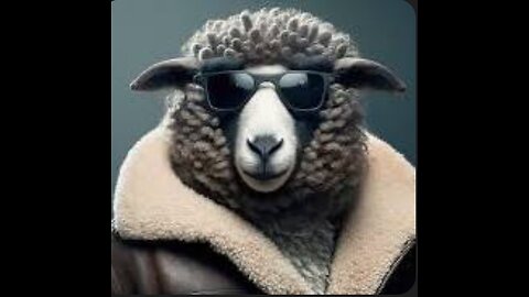 DUMB SHEEP PEOPLE
