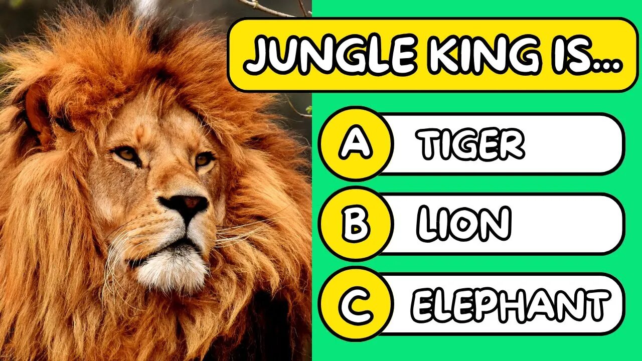 Animals General Knowledge Quiz 🐼🐯