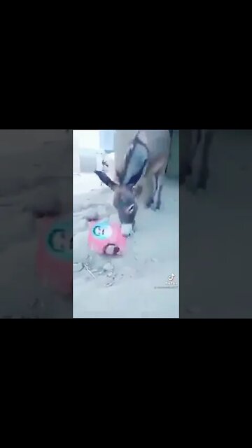 very nice video about PTI banner