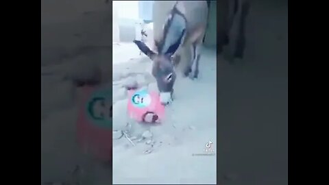 very nice video about PTI banner