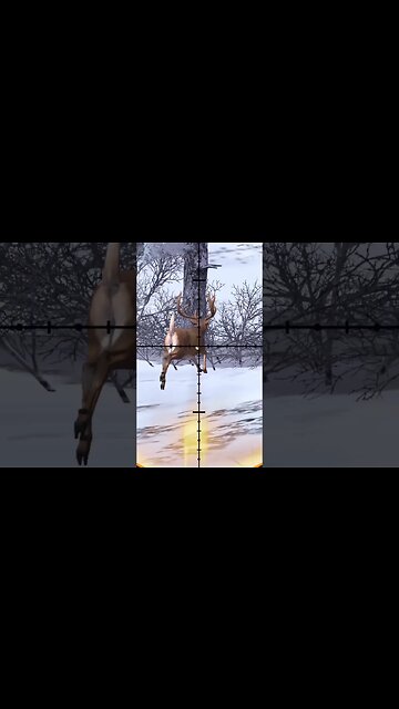 Hunting Coyotes #359 #elk #shorts #dog #animals #hunter #hunting #ytshorts #dog #coyotes #wildlife