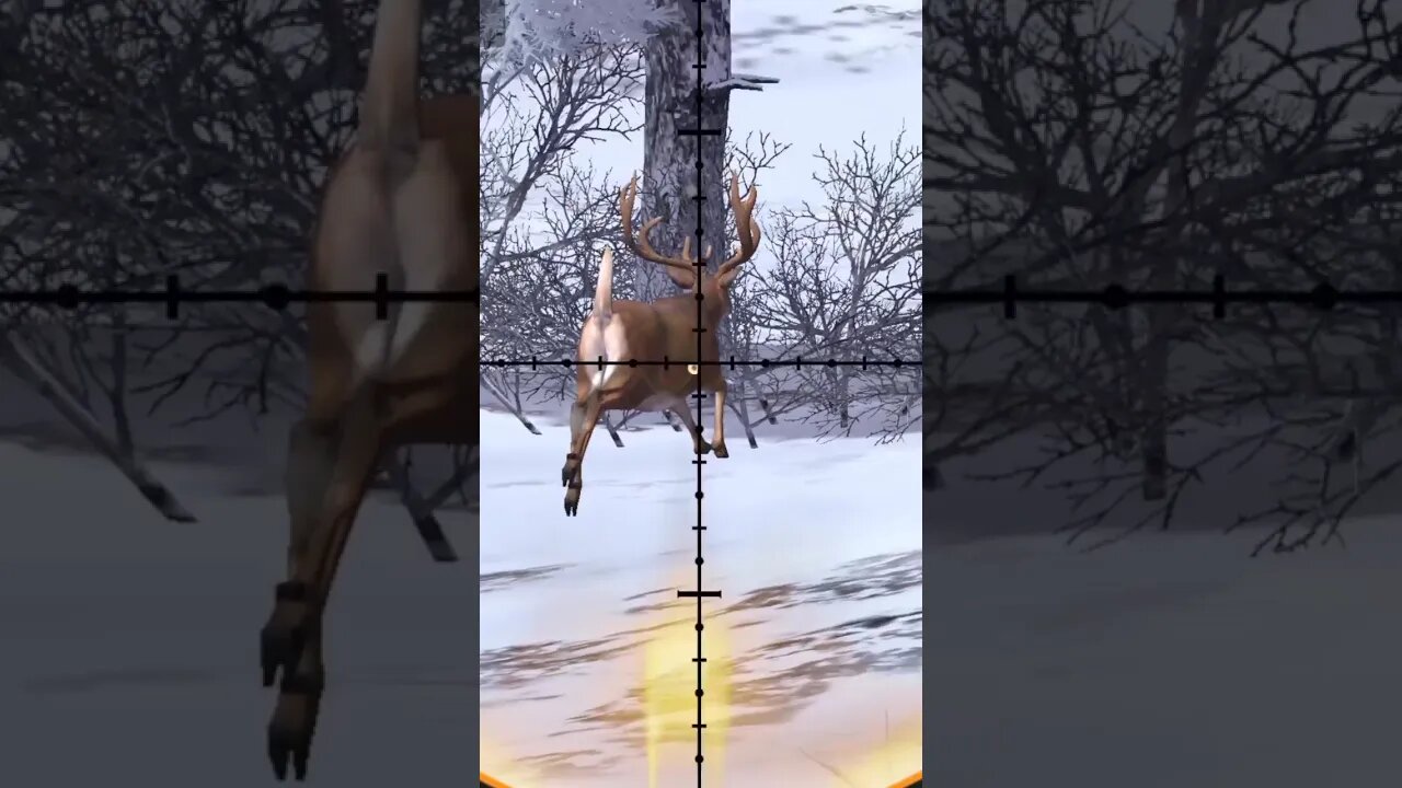 Hunting Coyotes #359 #elk #shorts #dog #animals #hunter #hunting #ytshorts #dog #coyotes #wildlife