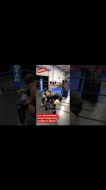 MMA - Jab Overhand Snatch Single to Knee on Belly and Mount CSW 101