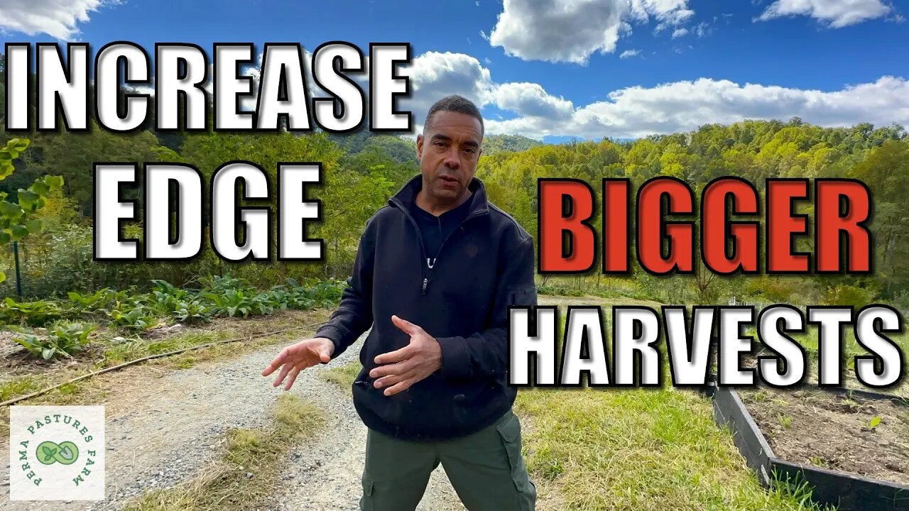 Harnessing Nature's Secrets🍃: Permaculture Edge Effect Explained