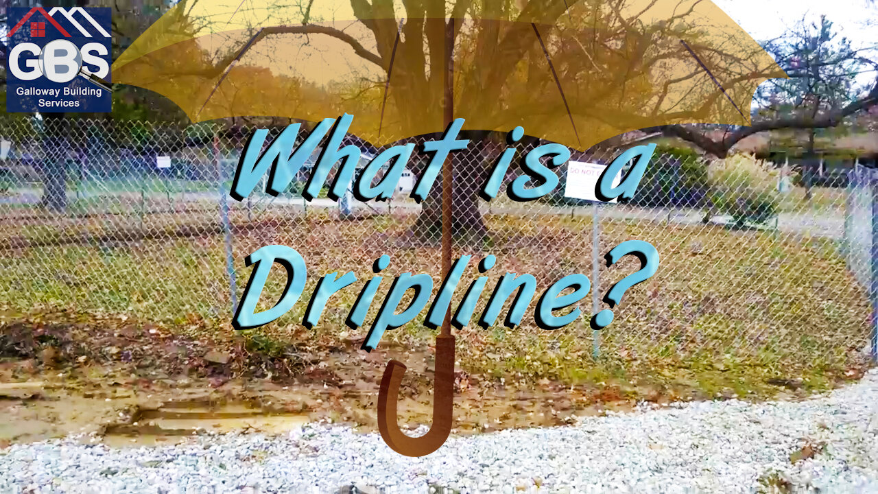 What is a Dripline?-Protecting Trees on a New Construction Site