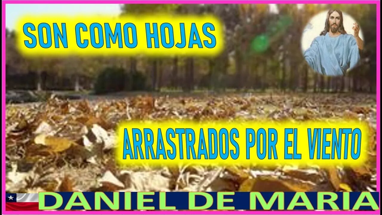 SON COMO HOJAS ARRASTRADOS POR EL VIENTO - MENSAJE DE JESUCRISTO A DANIEL DE MARIA