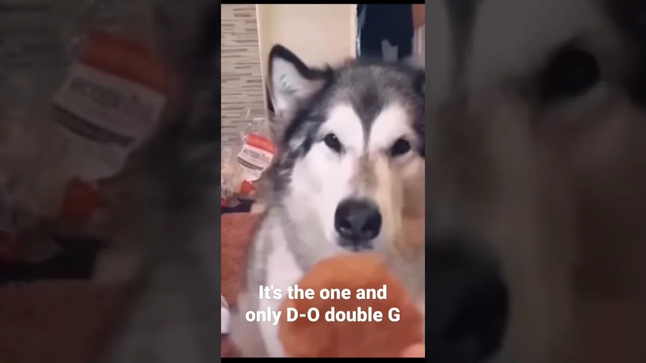 MEME is the one and only D-O double G #shorts