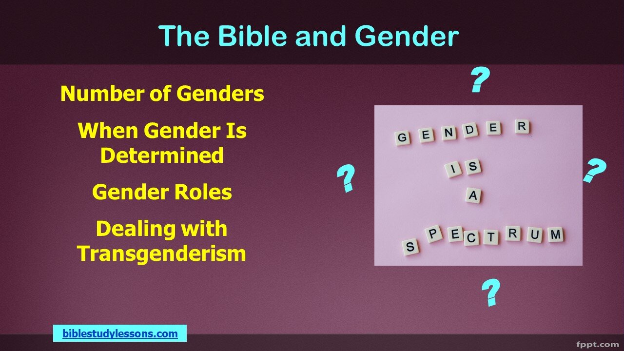 Video Bible Study: Bible, Gender, Transgendereism