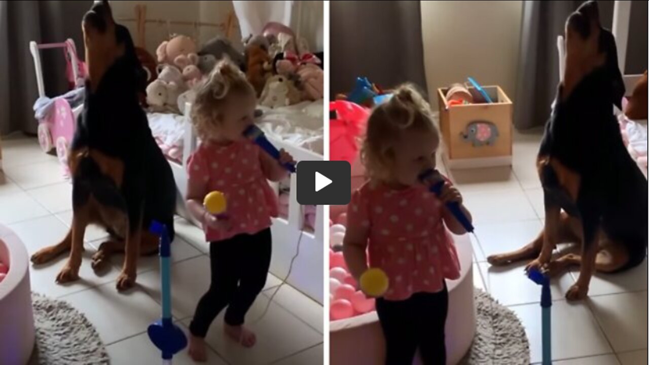 Toddler and Rottweiler sing epic duet together