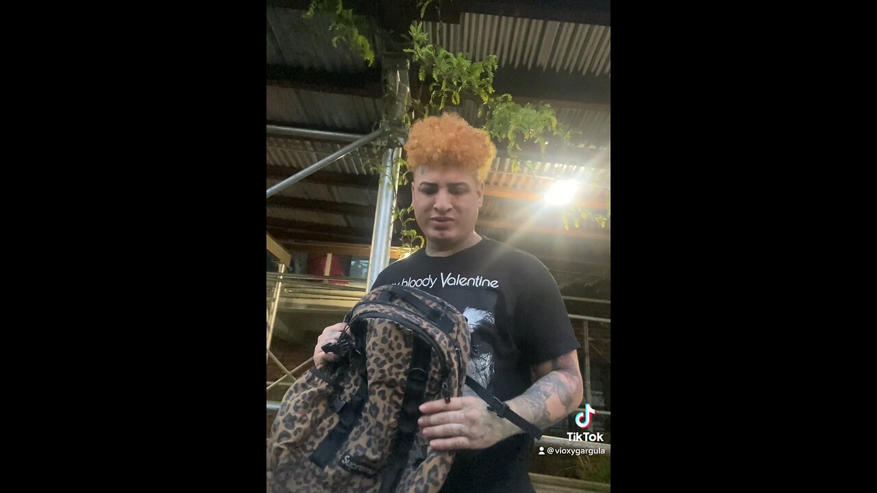 Taking Bailey to school be like