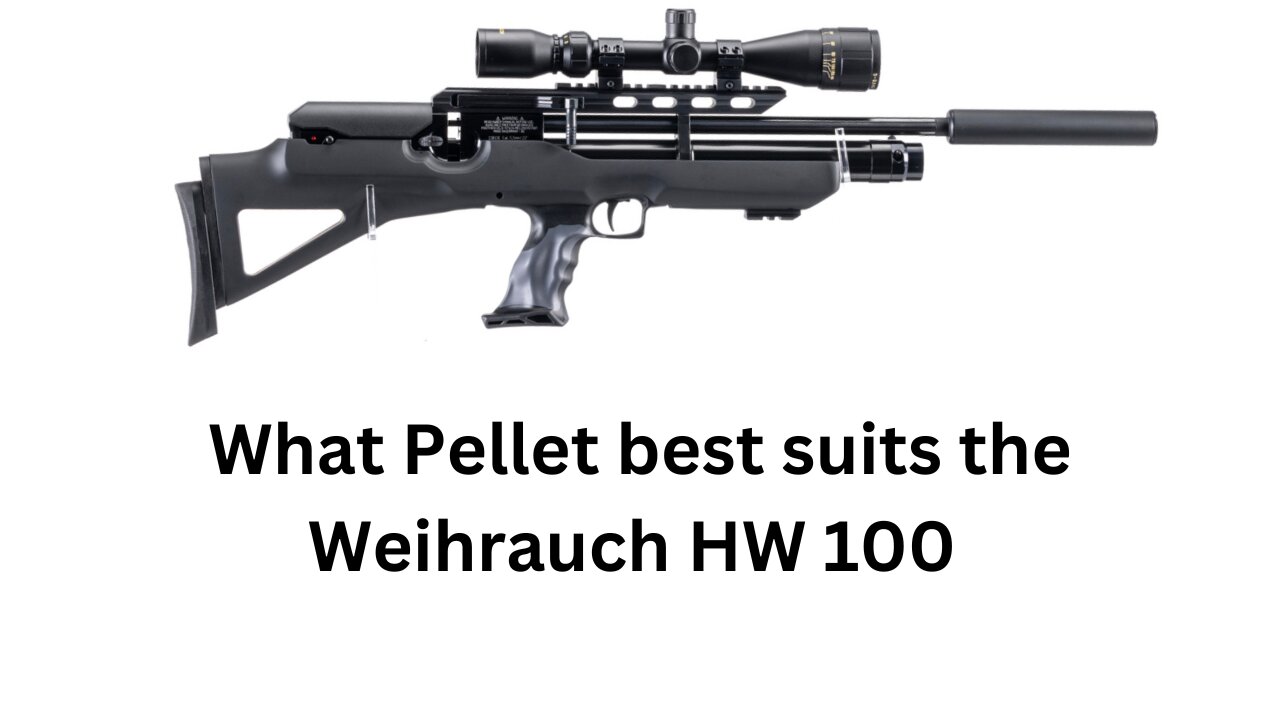 What Pellet best suits the Weihrauch HW 100