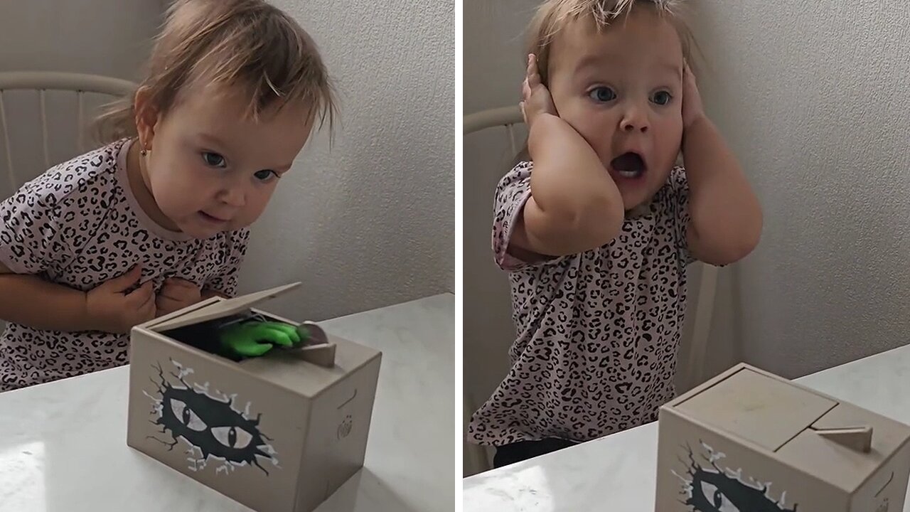 Funny Girl Has The Most Priceless Reaction To Scary Coin Bank
