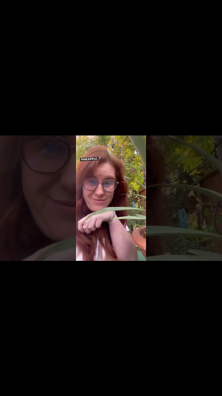 Growinf Edible Tropical Plants Indoors #gardeningincanada #indoorgardening #indoorgarden