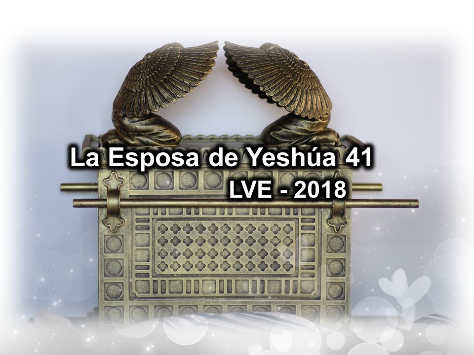 La Esposa de Yeshúa 41 - YHWH Ekjad 20 La Nueva Medicina 2