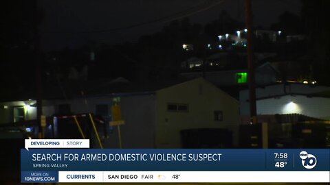 Search for armed domestic violence suspect