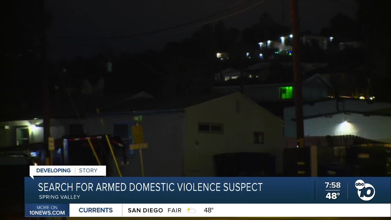 Search for armed domestic violence suspect