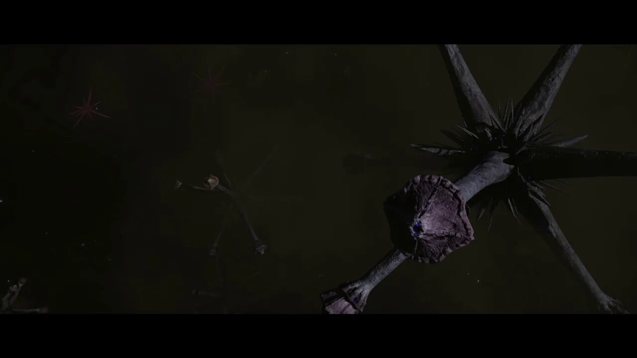 Self-Isolation Expedition 3, Episode 12: Questions