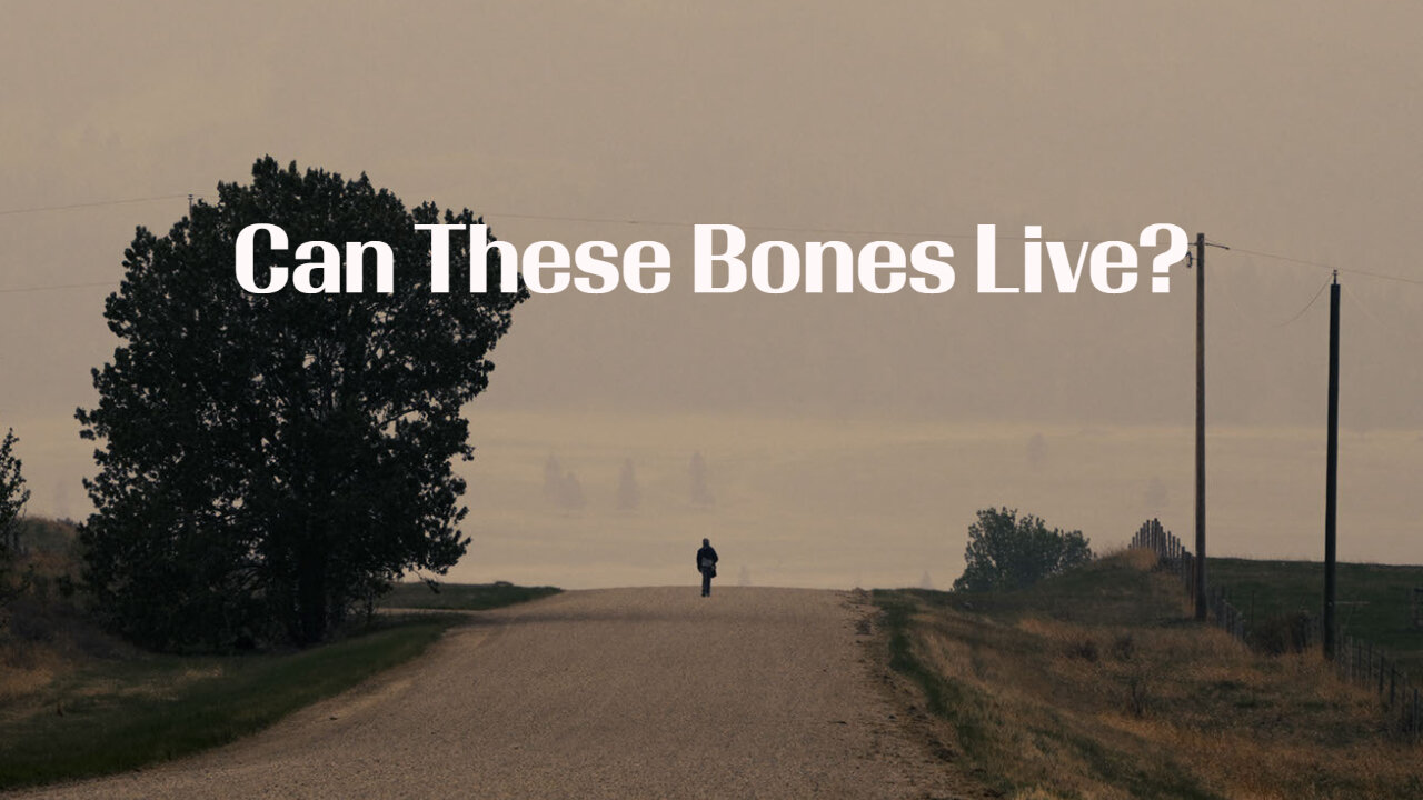 Can These Bones Live?