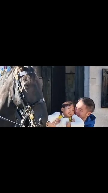 This is the kind of parent that hangs their kid over Niagara Falls for a better view #horseguards