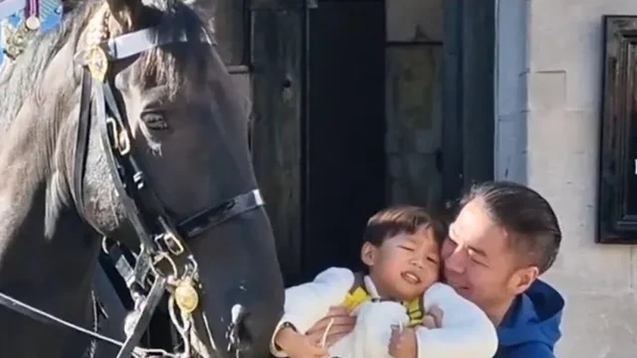 This is the kind of parent that hangs their kid over Niagara Falls for a better view #horseguards