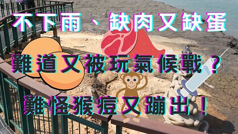 美國防部反措施推喵、五角大廈解放軍郭董連結、9成學生奴化不脫罩、缺蛋肉又不下雨、氣候戰開打逼猴痘喵？全動法沒下架？陸釋對台釋和平發展、鮑爾赴國會聽證