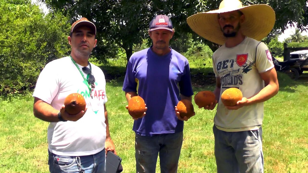 Fruticultura Familíar é um, a realidadede na linha 47,5 Nova Gease em Alta Floresta D´Oeste RO