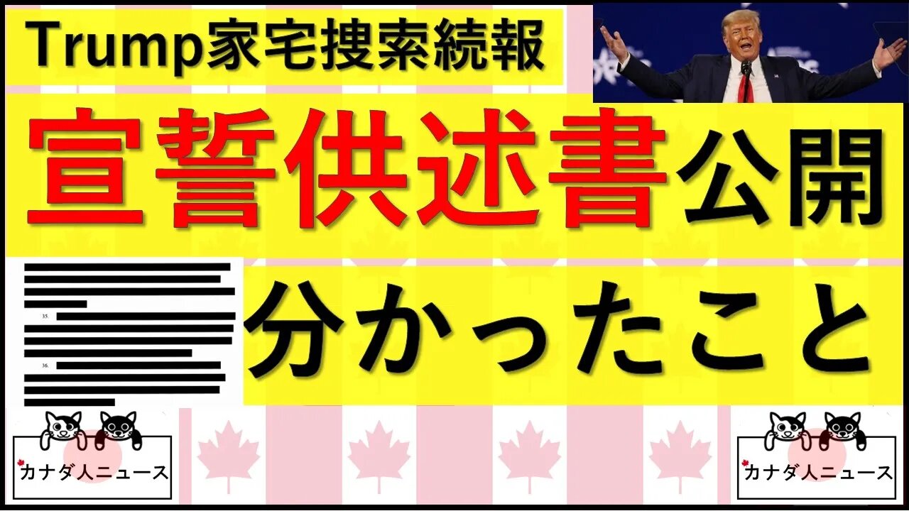 8.26 宣誓供述書公開された！