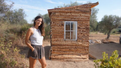 Off-Grid LOG CABIN BUILD | Building a HOMESTEAD