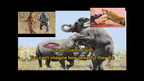 Jungle Giants Clash You can't imagine how powerful they are