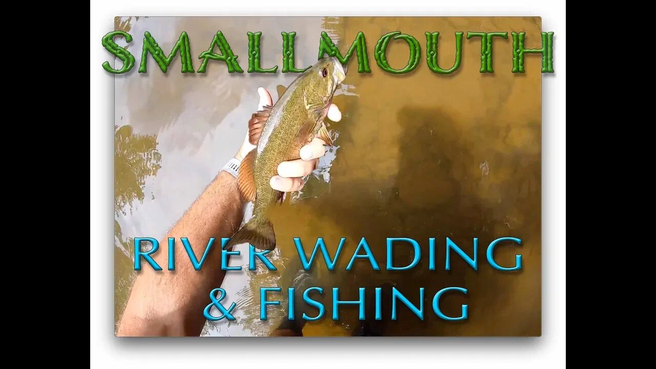 River wading for Smallmouth, Rock Bass and MORE!