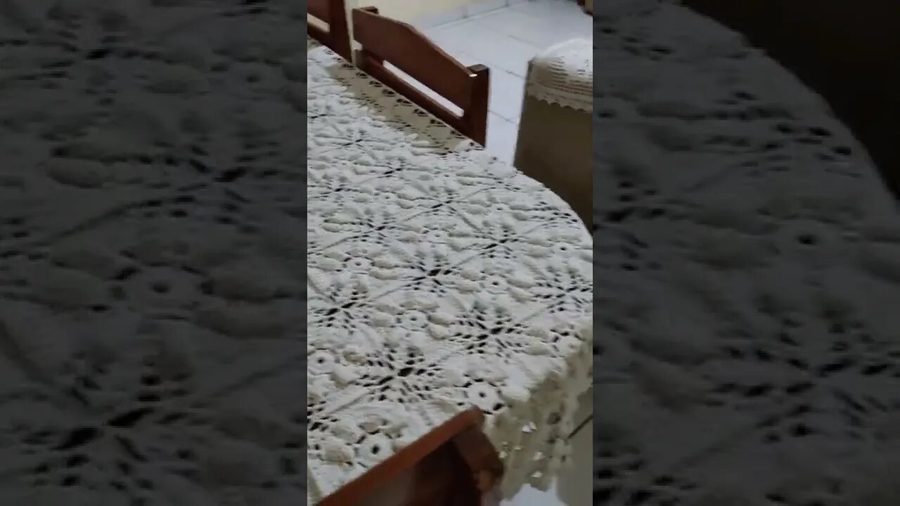 Poodle em uma missão de camuflagem não executada com sucesso
