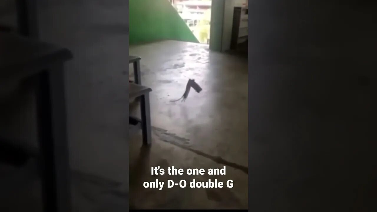 MEME is the one and only D-O double G #shorts