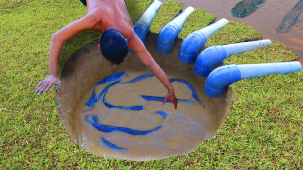 Make a big fish trap on the banks of the river