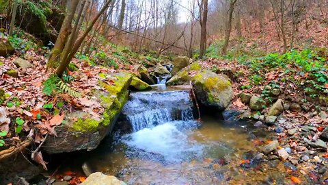 Stream in the Nature