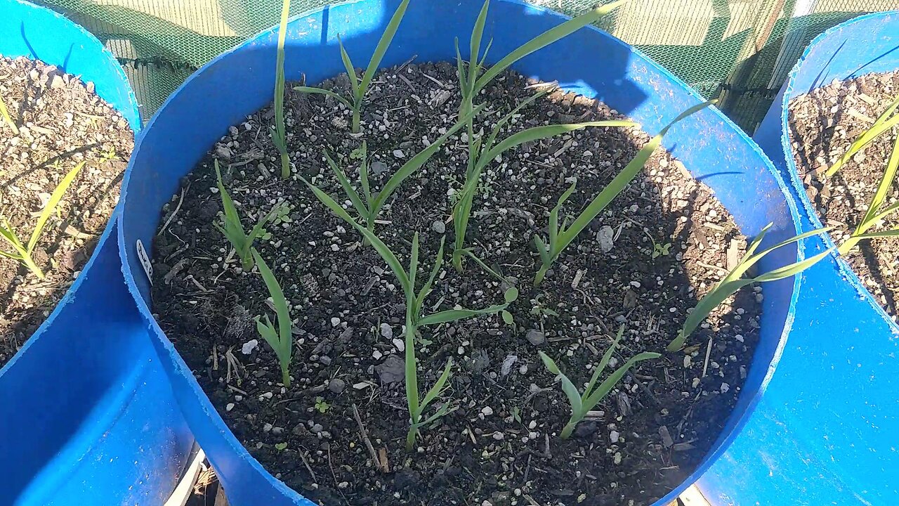Garden Tour 14-05-2024