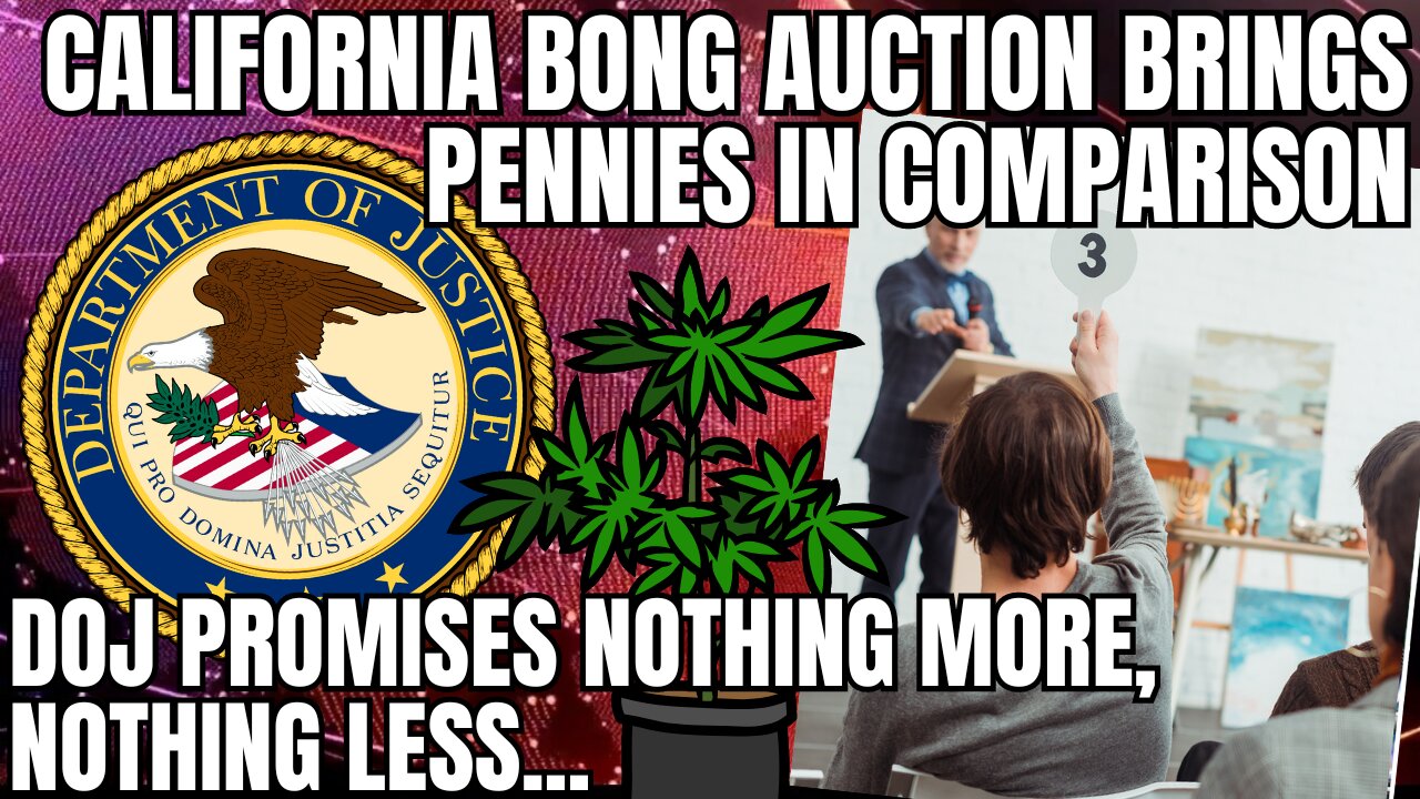 Snoop Dog Smokes in Front of Granddaughters & Millions of Fines Unpaid by NY Unlicensed Retailers