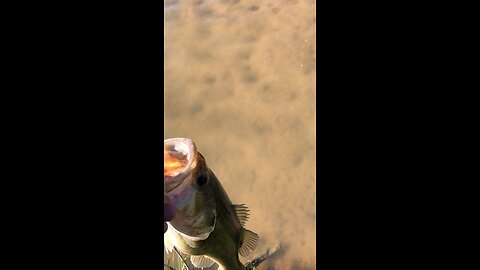 First fly fishing video on this platform ￼