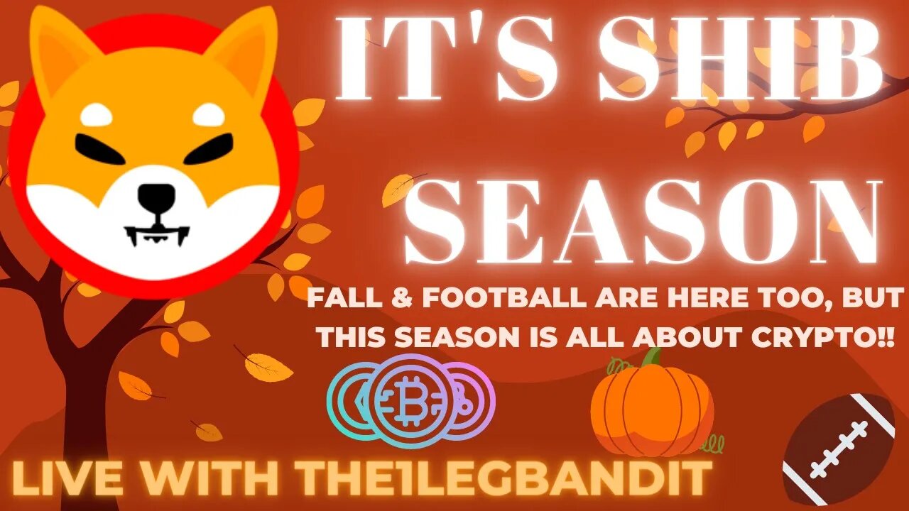 IT'S SHIB SEASON!